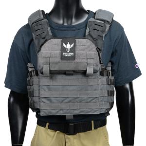 AGILITE プレートキャリア K19 レーザーカットMOLLE [ ブラック