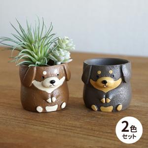 ミニ 植木鉢 リトルレジンポット ミニチュアダックスフンド 2色セット 穴なし 1号ポット用鉢カバー 1寸用 犬 かわいい 屋外 屋内 ガーデニング 雑貨 小物入れ