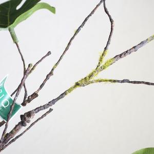 造花 モンステラ ツイッグ 1本 グリーン イ...の詳細画像2