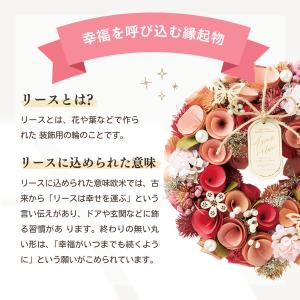 自然素材 ナチュラルリース M 直径約22.5...の詳細画像1