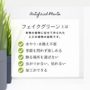 オリーブとユーカリ スワッグ オールシーズン ...の詳細画像1