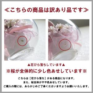 訳あり アウトレット ボトルフラワー 桜 1個...の詳細画像1