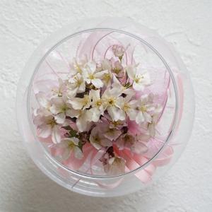 訳あり アウトレット ボトルフラワー 桜 1個...の詳細画像5