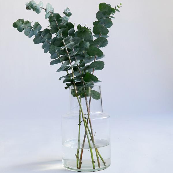ガラス　花瓶　リューズガラス　フラワーベースロケート　高さ23cm　　