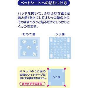 デオシート キレイパッド Sサイズ 80枚×2...の詳細画像2