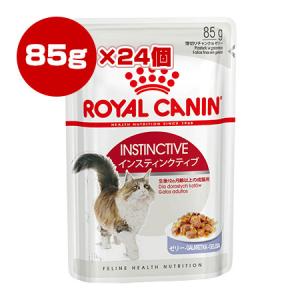 ロイヤルカナン FHN-WET インスティンクティブ ゼリー 85g×24個セット ▼g ペット フード 猫 キャット ウェット フィーラインヘルスニュートリション｜reprosstore-pet