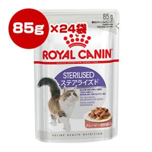 ロイヤルカナン FHN-WET ステアライズド 85g×24個 ▼g ペット フード キャット 成猫 アダルト ウェット