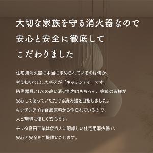 消火器 キッチンアイ レッド×ゴールド リサイ...の詳細画像3