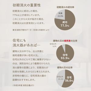 消火器 キッチンアイ レッド×ゴールド リサイ...の詳細画像4