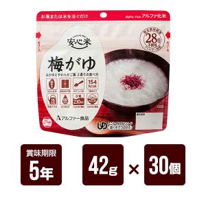 安心米 五目ご飯 ( 100g )/ 防災グッズ 非常食 保存食 長期保存