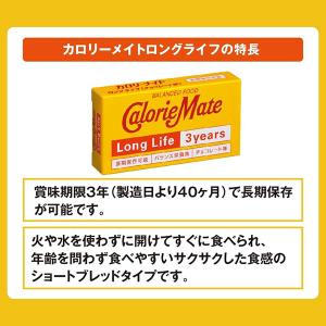 カロリーメイト ロングライフ チョコレート味 ...の詳細画像3