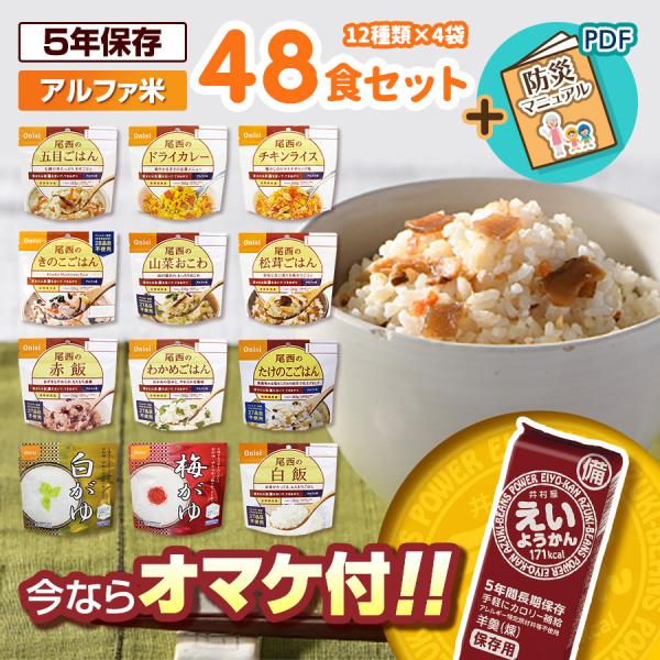 非常食 アルファ米 48食セット[12種類×各４袋] 尾西食品 防災食 保存食 防災セット 非常食セ...