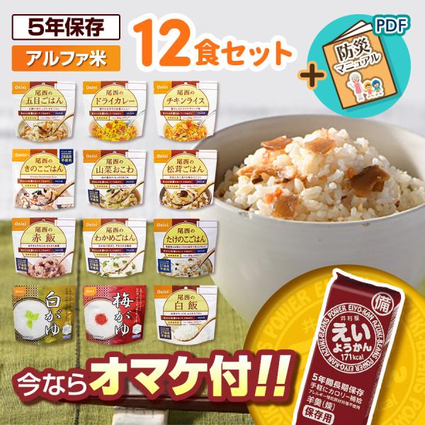 非常食 アルファ米 12種類セット 尾西食品 防災食 保存食 防災セット 非常食セット 備蓄 ５年保...