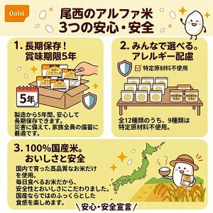 【賞味期限5年以上!】非常食 アルファ米 12...の詳細画像3