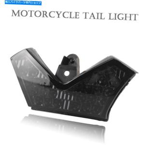 Kawasaki ZX-14R・ZZR1400 スモークレンズ LEDテールランプ : shop