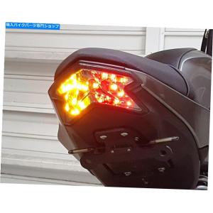 テールライト Bikemaster Clear Integrated Taillight ZX1400 TZK-198