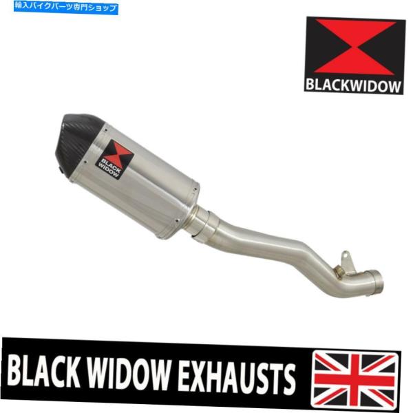 サイレンサー ZX10R ZX-10R 11 12 13 14 15 DE CAT排気サイレンサーキ...