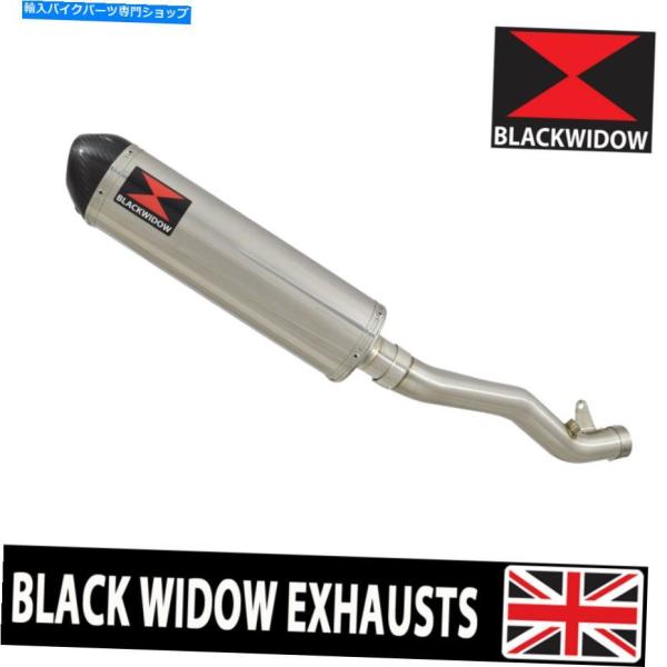 サイレンサー ZX10R ZX-10R 11 12 13 14 15デキャットエキゾンセルサイレンサ...