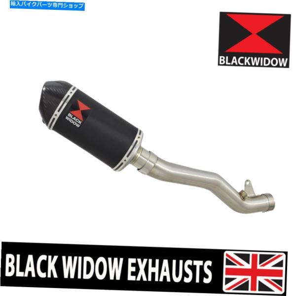 サイレンサー ZX10R ZX-10R 11 12 13 14 15デキャットエキゾーシャルサイレン...