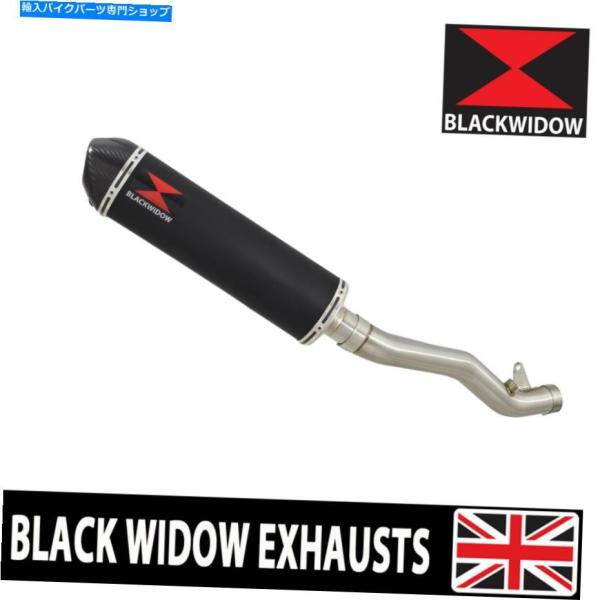 サイレンサー ZX10R ZX-10R 11 12 13 14 15デカットエリミネータ排気サイレン...