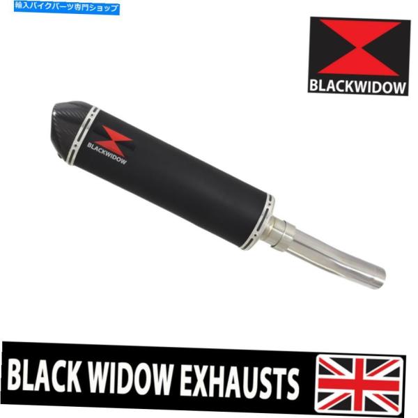 サイレンサー ZX6R ZX-6R NINJA 09-20排気サイレンサーキット楕円形の黒いステンレ...