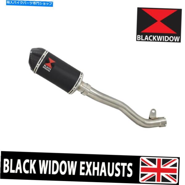 サイレンサー ZX10R ZX-10R 2016-2020デキャットエリミネーター排気サイレンサーブ...