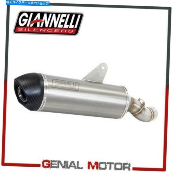 サイレンサー マキシオーバルBMW R 1200 R 2011> 2014年 Exhaust Muf...