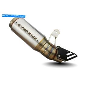 サイレンサー ←FZ1 / Fazer 2010 2011 Exapanes Akrapovic用ザーボン