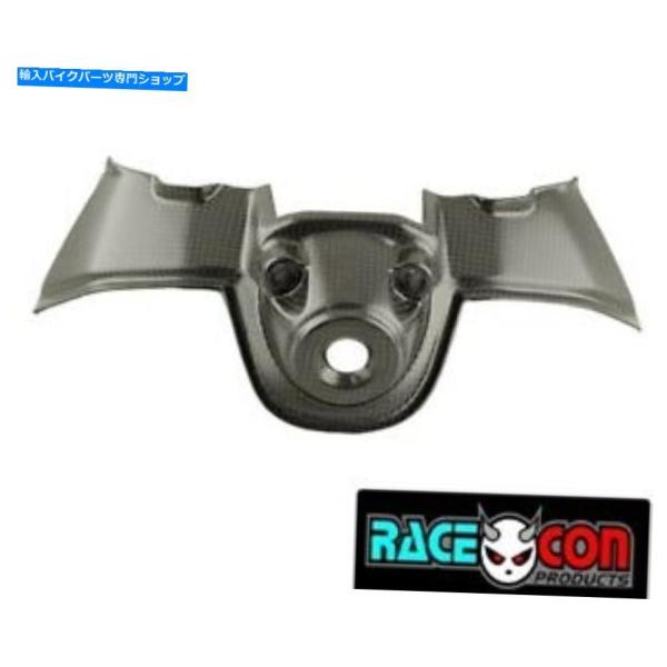 カーボン ダッカイパニゲールv4カーボンファイバーキーガードイグニッションマット仕上げS R Duc...