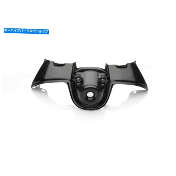 カーボン DUCATI PANIGALE STREETFIGHTER V4 V4S V4Rカーボンフ...