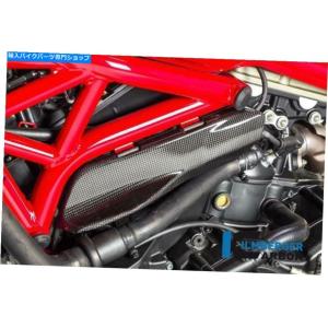カーボン製 エキゾーストカバー ドゥカティ モンスター 1200/1200S 821