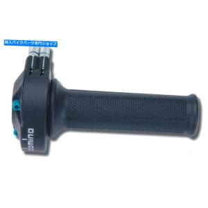 カーボン カワサキZH2メーチンデイバーズ - オリジナルのタイトルを