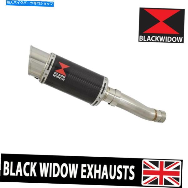 サイレンサー Speed Triple 1050 R 11-15シンクラ低排気排気排気排気排気排気低...