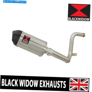 r's gear（アールズギア） 17~21 CBR250RR MC51 ワイバン リアル