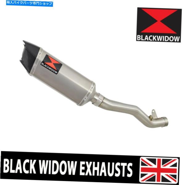 サイレンサー ZX10R ZX-10R 11 12 13 14 15 DE CAT◇デイパンステール...