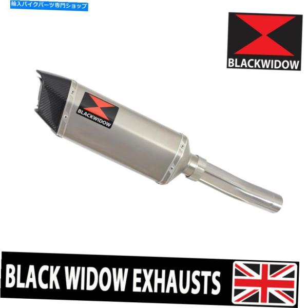 サイレンサー ZX6R ZX-6R NINJA 09-20▲デイズンペット：◇スポンサス+メーカーS...