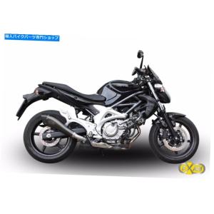 スズキ グラディウス400 グラディウス650 2010-2015 DANMOTO カーボン