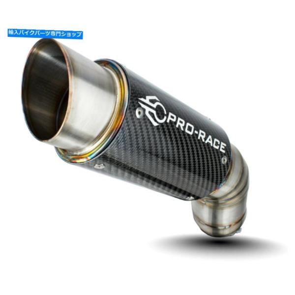 サイレンサー KTM 1290スーパーマークGT 2016-2020 GP-R1RシェーフGPシュー...