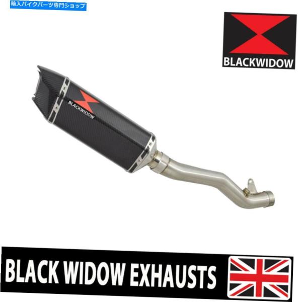 サイレンサー ZX10R ZX-10R 11 12 13 14 15カット排気デイパンCC 30H-...