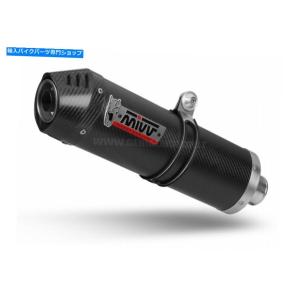 サイレンサー DUCATI MULTISTRA...の詳細画像1