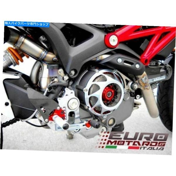 サイレンサー DUCATI MONSTER 1100 ZARDカンタルシューズブリック/エーボン+ ...