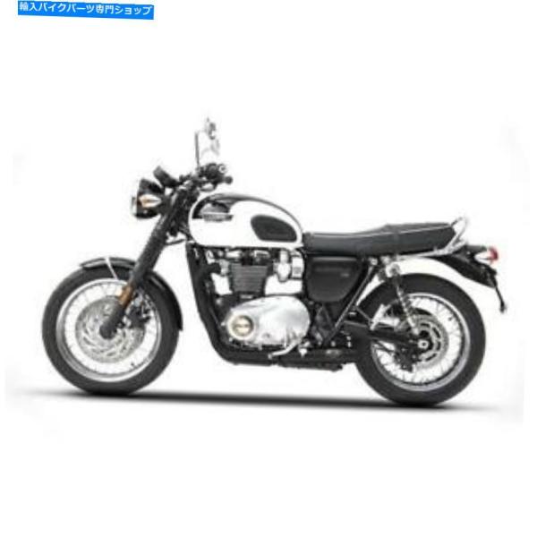 サイレンサー ZARD EXMILSICHISTRICS-SUMINSスパールトライアンフT120 ...