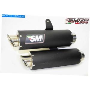 サイレンサー Ducati StreetFigh...の商品画像