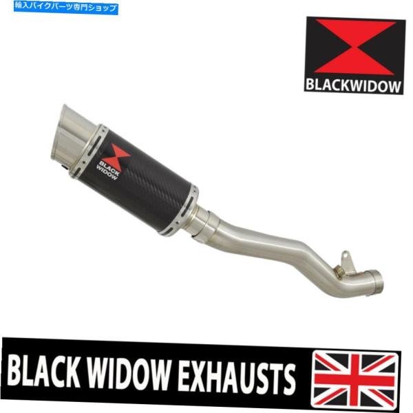 サイレンサー ZX10R ZX-10R 11 12 12 13 14 15カット排気デイパンダイバー...