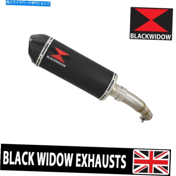 サイレンサー Ninja 250 Z 250 SL排気デイパンダーゼーラルラックスポンサムソープンカ...