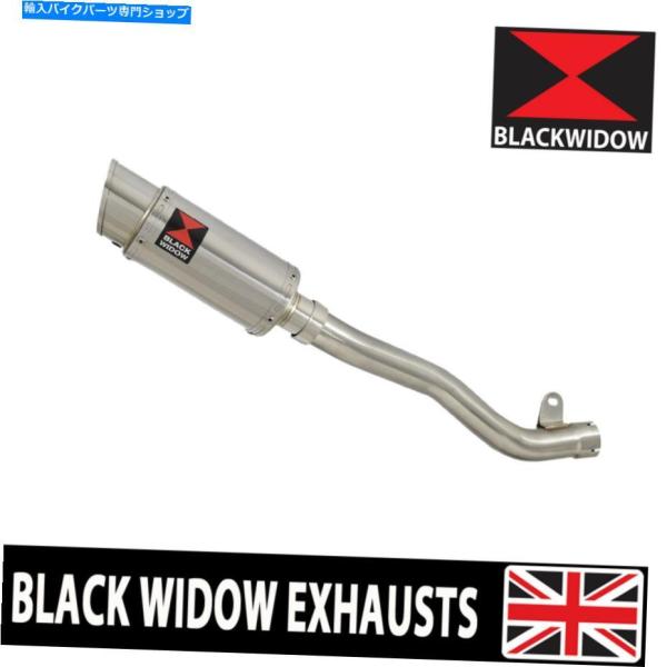 サイレンサー ZX10R ZX-10R 2016-2020 De Catリーダー排気デイパンバースポ...