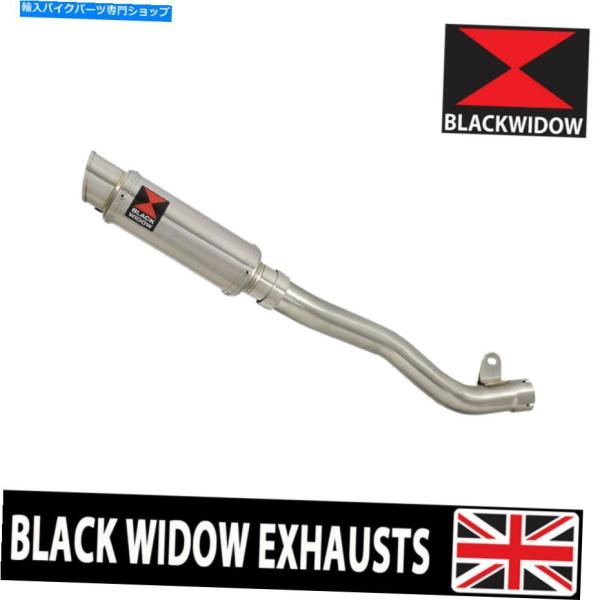 サイレンサー ZX10R ZX-10R 2016-2020デア・カットアニルターヤイレースポット23...