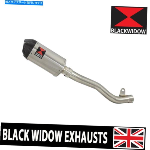 サイレンサー ZX10R ZX-10R 2016-2020 De Cat Krigethea Tem...