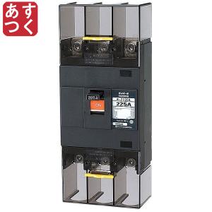 未使用 テンパール工業 配線用遮断器 Eシリーズ 経済タイプ B-223EA 225A B223EA22 ランクS