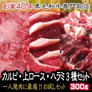 肉 お歳暮 ギフト 2021 セット 焼肉三種 九州宮崎県産黒毛和牛A4カルビと上ロースと特選牛ハラミの焼肉セット　各100g　計300g